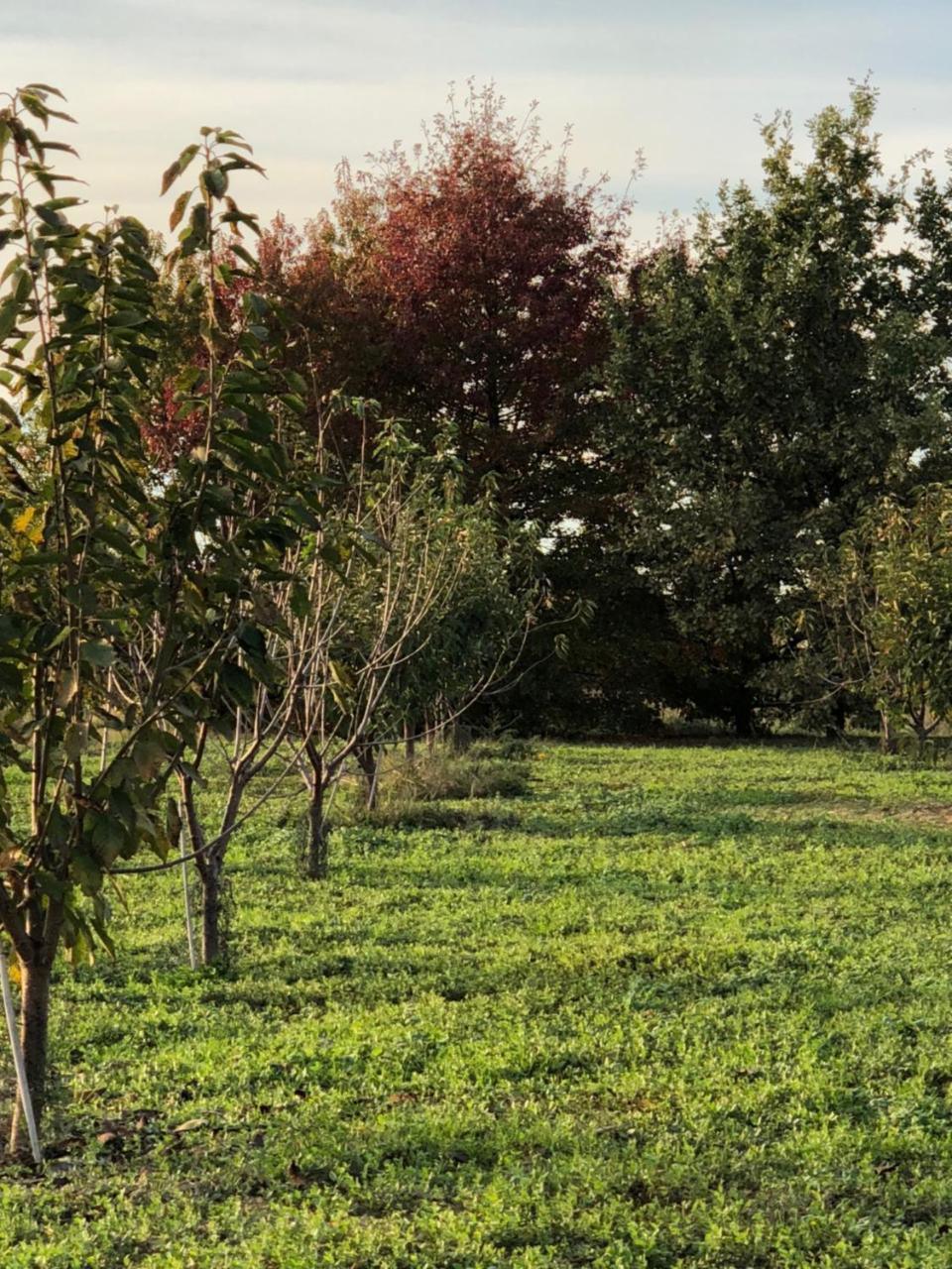 Cascina San Giorgio Villa Valenza Buitenkant foto