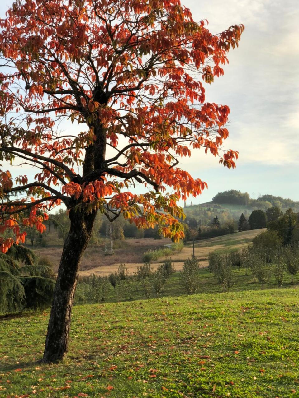 Cascina San Giorgio Villa Valenza Buitenkant foto